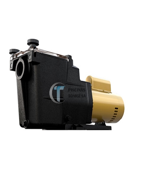 ELECTROBOMBA SUPER PUMP 1.0HP 1.5" SP2607X10M HAYWARD - Imagen 2